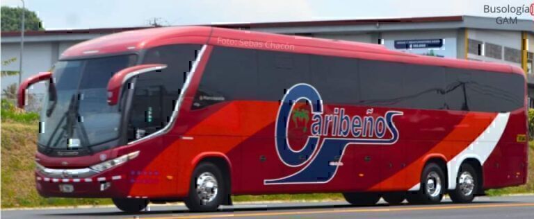 Tribunal ratifica ilegalidades y anula  entrega de ruta San José – Bolsón